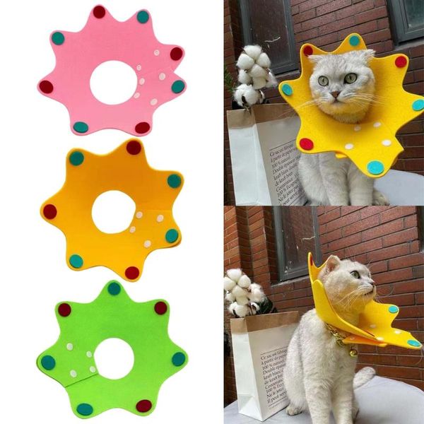 cat collars & leads adjustable neck cone after wound healing protective crown elizabethan collar soft edge 3 sizes colors
cat collars & leads adjustable neck cone after wound healing protective crown elizabethan collar soft edge 3 sizes colors