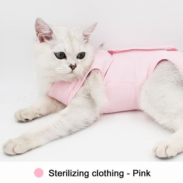 cat costumes small dogs puppy coat pink pet sterilizing physiological pants to take female weaning suit warm dog windproof thicken
cat costumes small dogs puppy coat pink pet sterilizing physiological pants to take female weaning suit warm dog windproof thicken