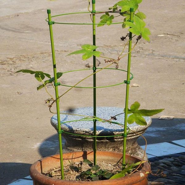 durable vine climbing rack gardening tools plant trellis support frame planters & pots
durable vine climbing rack gardening tools plant trellis support frame planters & pots