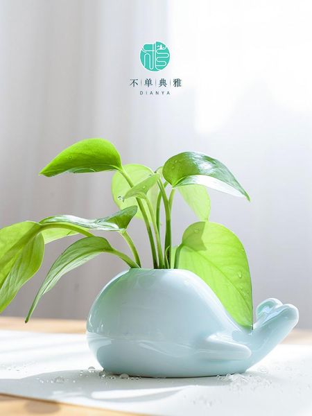 vases modern plant vase table small large nordic aesthetic minimalist creative bathroom jarrones decorativos room decor dl60hp
vases modern plant vase table small large nordic aesthetic minimalist creative bathroom jarrones decorativos room decor dl60hp