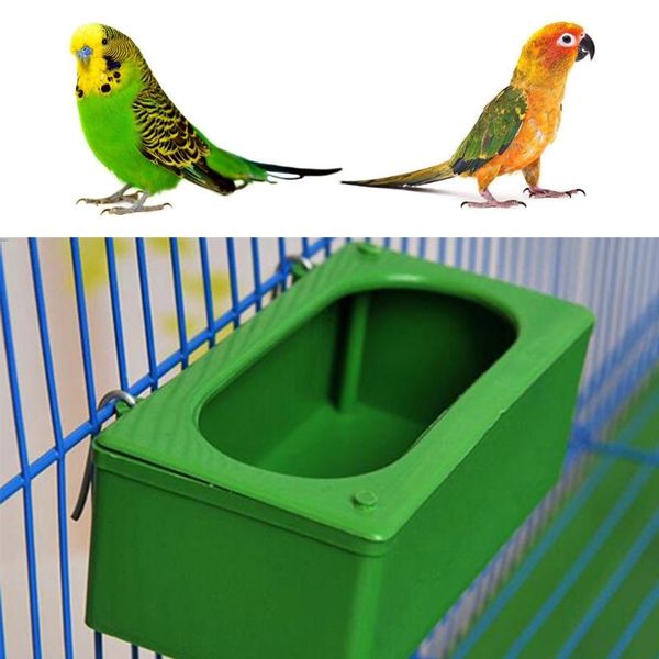 other bird supplies green food water plastic bowl cups parrot pigeons cage cup feeder feeding
other bird supplies green food water plastic bowl cups parrot pigeons cage cup feeder feeding