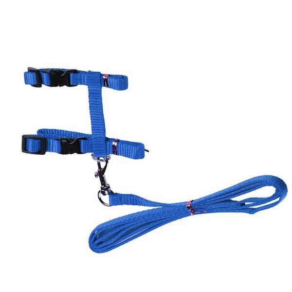 cat harness and leash 3 colors nylon products for animals adjustable pet traction belt kitten halter collar collars & leads
cat harness and leash 3 colors nylon products for animals adjustable pet traction belt kitten halter collar collars & leads
