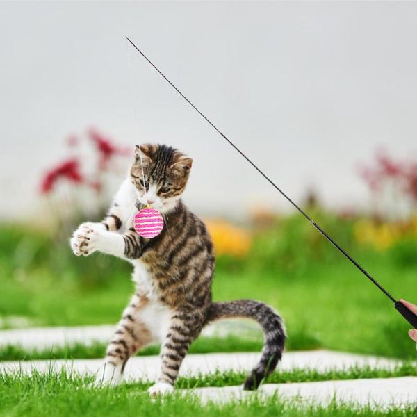 cat toys 20pcs pet toy teaser kitten feather wire stretch fishing rod wand wooden eco-friendly interactive
cat toys 20pcs pet toy teaser kitten feather wire stretch fishing rod wand wooden eco-friendly interactive