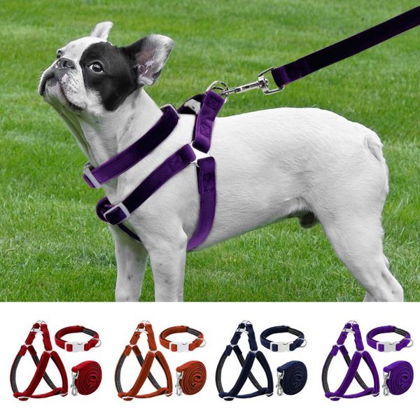 dog collars & leashes collar harness leash set reflective bull lead velvet pet pug harnesses for small medium large dogs
dog collars & leashes collar harness leash set reflective bull lead velvet pet pug harnesses for small medium large dogs