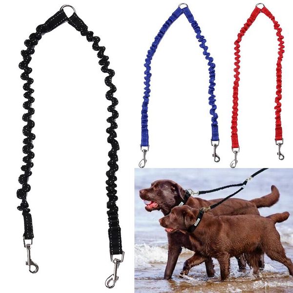 dog collars & leashes elastic double for small large dogs nylon puppy pet walking running leads extending leash two supplies
dog collars & leashes elastic double for small large dogs nylon puppy pet walking running leads extending leash two supplies