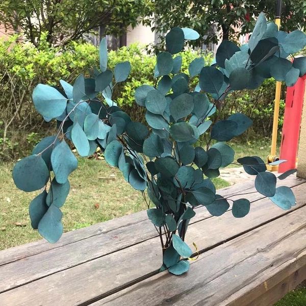 decorative flowers & wreaths 80-90g real dried natural fresh preserved eucalyptus branches,decorative forever dry round leaves,eternal grass
decorative flowers & wreaths 80-90g real dried natural fresh preserved eucalyptus branches,decorative forever dry round leaves,eternal grass