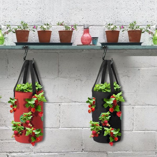 garden outdoor planting grow bag strawberry vertical flower pouch 3 gallon felt hanging vegetable round pot planters & pots
garden outdoor planting grow bag strawberry vertical flower pouch 3 gallon felt hanging vegetable round pot planters & pots