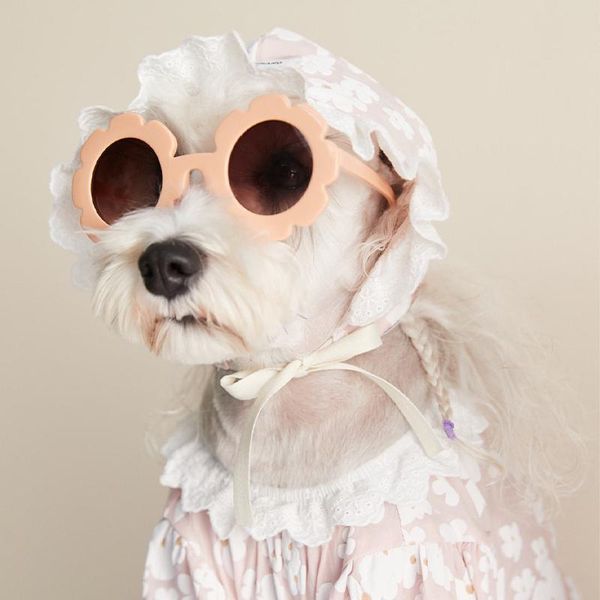 dog apparel pet coat pink clothes clothing schnauzer cat outfit cute costume funny
dog apparel pet coat pink clothes clothing schnauzer cat outfit cute costume funny
