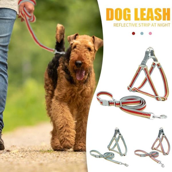 pet chest strap small and medium-sized traction rope walking dog products outdoor accessories collars & leashes
pet chest strap small and medium-sized traction rope walking dog products outdoor accessories collars & leashes