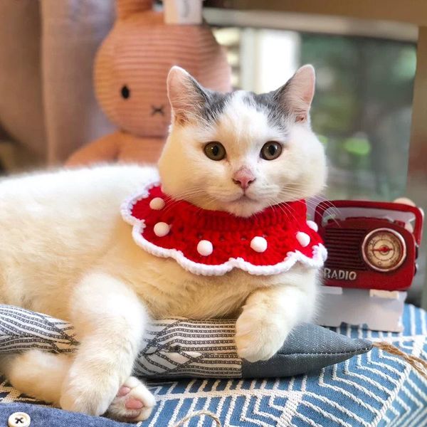 cat collars & leads sweet knited collar scarf woolen red manual dog pet bandana crocheted adjustable kitty necklace for small accessories
cat collars & leads sweet knited collar scarf woolen red manual dog pet bandana crocheted adjustable kitty necklace for small accessories
