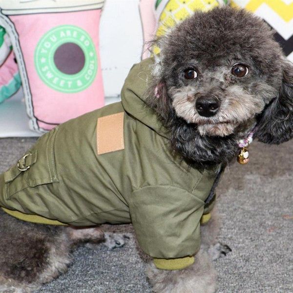 pet winter cotton padded coat thickened mountaineering warm comfortable with hat fashion jumpsuit cat costumes
pet winter cotton padded coat thickened mountaineering warm comfortable with hat fashion jumpsuit cat costumes