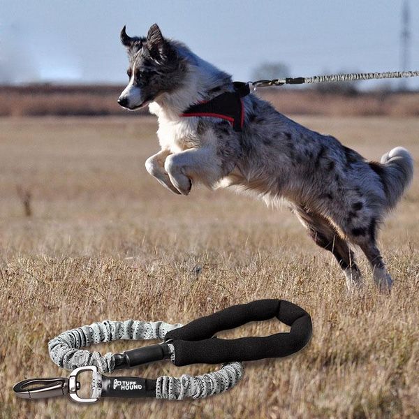 dog collars & leashes pet products for large leash collar harness puppy cat accessories reflective adjustable lead basic
dog collars & leashes pet products for large leash collar harness puppy cat accessories reflective adjustable lead basic