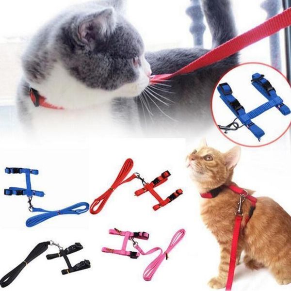 5 colors pet harness dog leash collar cat strap and puppy adjustable traction harness ld62805
5 colors pet harness dog leash collar cat strap and puppy adjustable traction harness ld62805