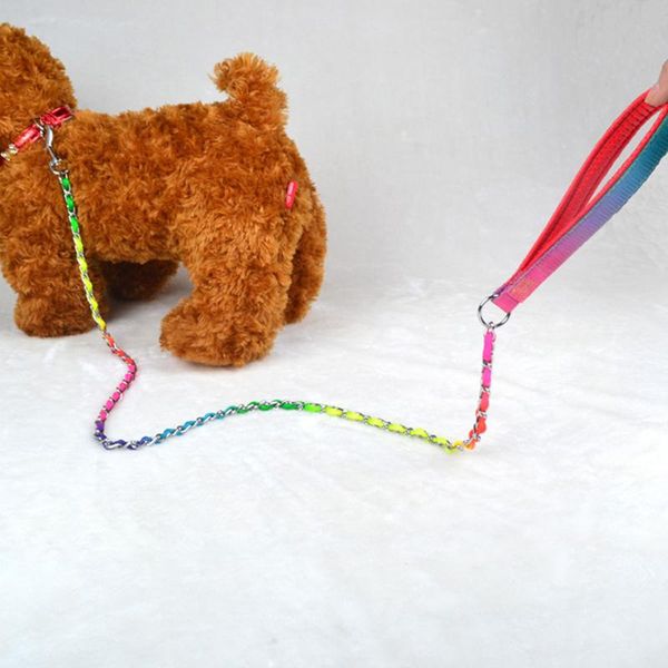 rainbow dog harness fashion metal leash chain outdoor walking training lead pull strap p snake supplies collars & leashes
rainbow dog harness fashion metal leash chain outdoor walking training lead pull strap p snake supplies collars & leashes