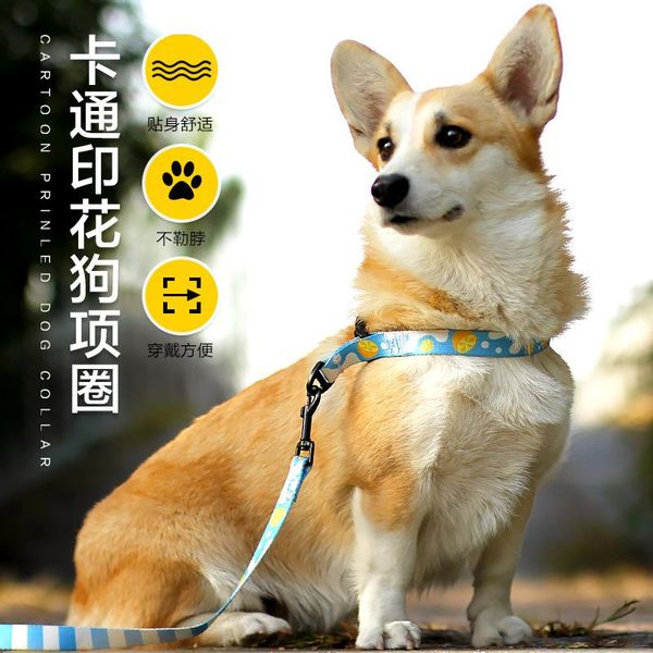 dog collars & leashes amazon pet printed collar haulage rope package anti-le p design retractable
dog collars & leashes amazon pet printed collar haulage rope package anti-le p design retractable
