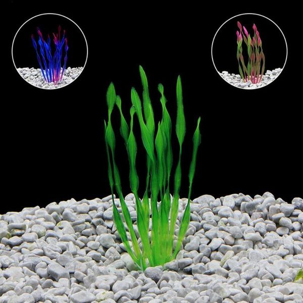 10pcs fake aquatics plants simulation ornaments plastic artificial kelp water grass accessories for fish tank decoration decorations
10pcs fake aquatics plants simulation ornaments plastic artificial kelp water grass accessories for fish tank decoration decorations