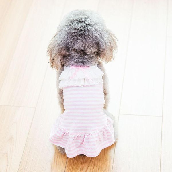 dog apparel spring and summer leisure styles pet clothing comfortable breathable fashion cute braces skirt pomeranian small
dog apparel spring and summer leisure styles pet clothing comfortable breathable fashion cute braces skirt pomeranian small