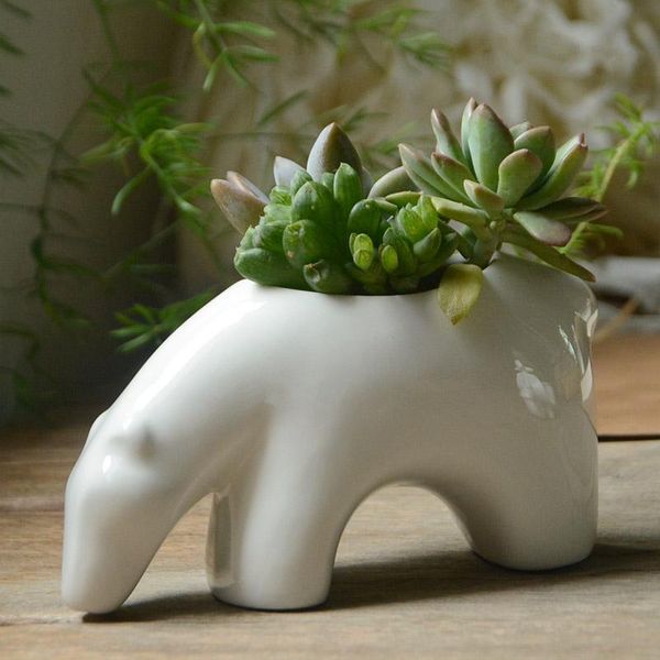 planters & pots kawaii animal shaped ceramic flowerpot succulent planter cute elephant bear porcelain green plants flower pot with hol
planters & pots kawaii animal shaped ceramic flowerpot succulent planter cute elephant bear porcelain green plants flower pot with hol