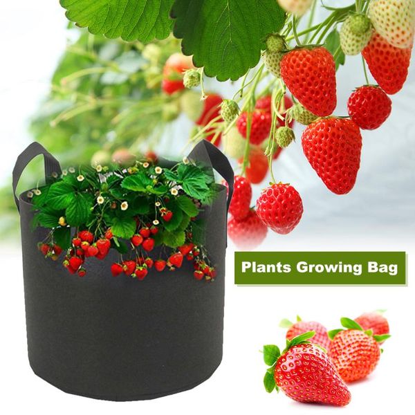 planters & pots 5pcs potato grow bag garden planting bags vegetables planter non-woven aeration fabric pot gardening seedling
planters & pots 5pcs potato grow bag garden planting bags vegetables planter non-woven aeration fabric pot gardening seedling