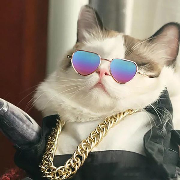 dog apparel 6 colors arrival cat pet glasses cute eye-wear sunglasses cool pets pos props accessories wholesale
dog apparel 6 colors arrival cat pet glasses cute eye-wear sunglasses cool pets pos props accessories wholesale