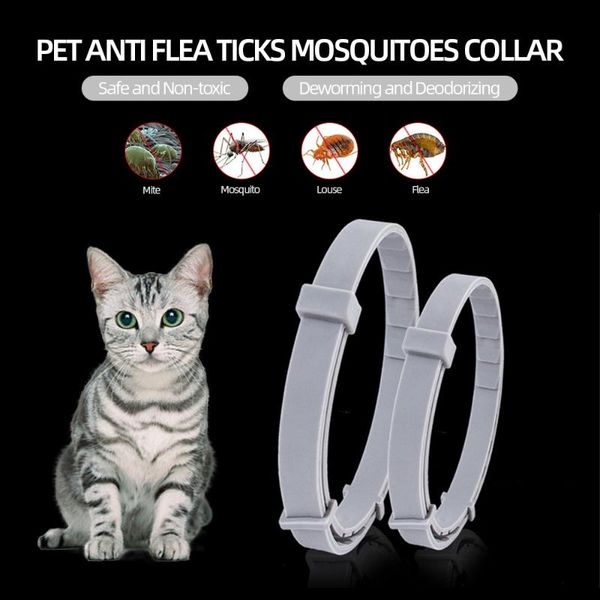 pet dog cat collar anti flea ticks mosquitoes outdoor protective adjustable 8 months long-term insect control collars & leads
pet dog cat collar anti flea ticks mosquitoes outdoor protective adjustable 8 months long-term insect control collars & leads