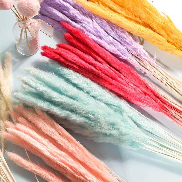 decorative flowers & wreaths wheat reed natural dried artificial plants branch colorful ins pampas grass fake flower wedding home decoration
decorative flowers & wreaths wheat reed natural dried artificial plants branch colorful ins pampas grass fake flower wedding home decoration