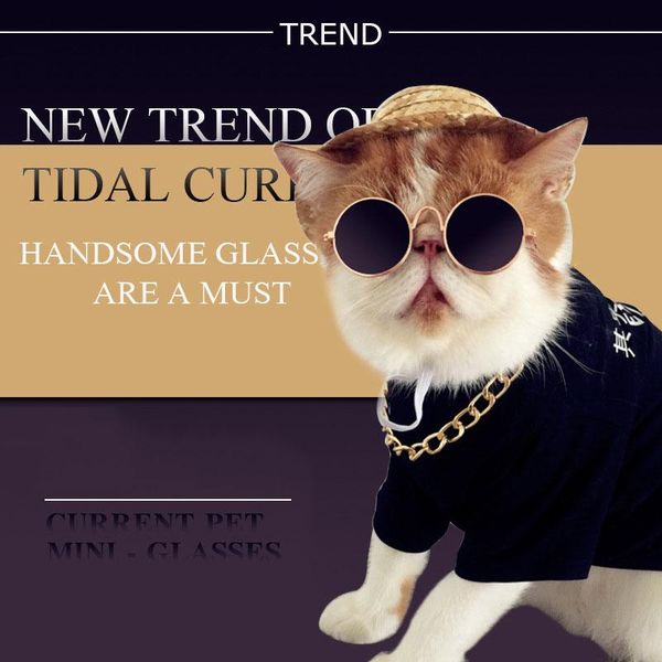 dog apparel cat glasses pet sunglasses personality funny headwear trend teddy pographing mini jewelry accessories
dog apparel cat glasses pet sunglasses personality funny headwear trend teddy pographing mini jewelry accessories