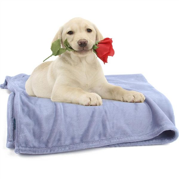 kennels & pens super warm solid micro plush fleece blanket throw rug sofa bedding flannel for pet bed mat
kennels & pens super warm solid micro plush fleece blanket throw rug sofa bedding flannel for pet bed mat