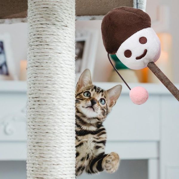 cat toys plush cartoon pompom teaser rod interactive pet playing wand stick molar toy set funny
cat toys plush cartoon pompom teaser rod interactive pet playing wand stick molar toy set funny
