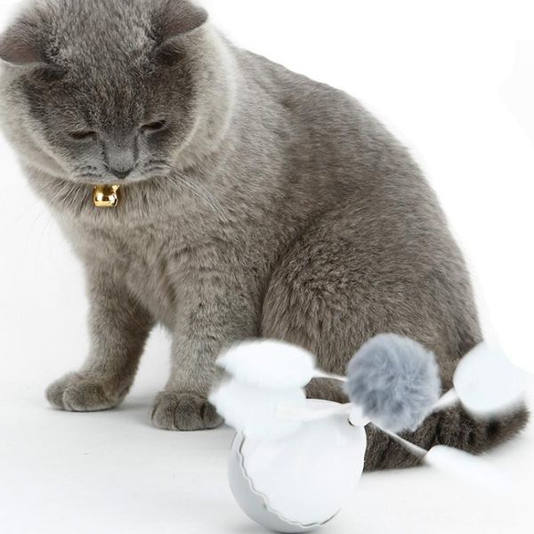 cat toys pet toy electric tumbler spin ball dog catnip mouse squeak aceites mentolados sunfu
cat toys pet toy electric tumbler spin ball dog catnip mouse squeak aceites mentolados sunfu