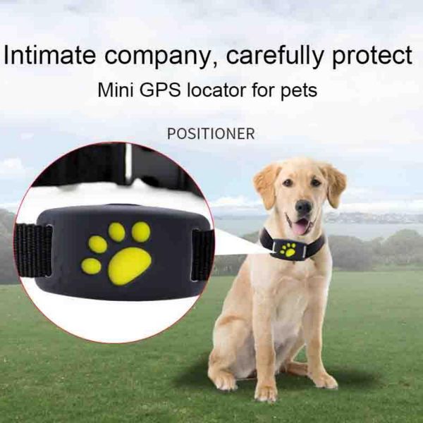 anti-lost alarm gps tracker for old man locator tracking pet disposal mini intelligent wear + lbs positioning pets
anti-lost alarm gps tracker for old man locator tracking pet disposal mini intelligent wear + lbs positioning pets