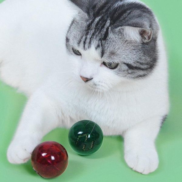 pcs pet toy cat catnip bell ball kitty interactive smooth emerald dogs molar chew exercise toys
pcs pet toy cat catnip bell ball kitty interactive smooth emerald dogs molar chew exercise toys