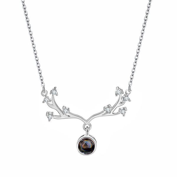 chains silver metal fashion jewelry and accessories buckhorn crystal necklace for women
chains silver metal fashion jewelry and accessories buckhorn crystal necklace for women