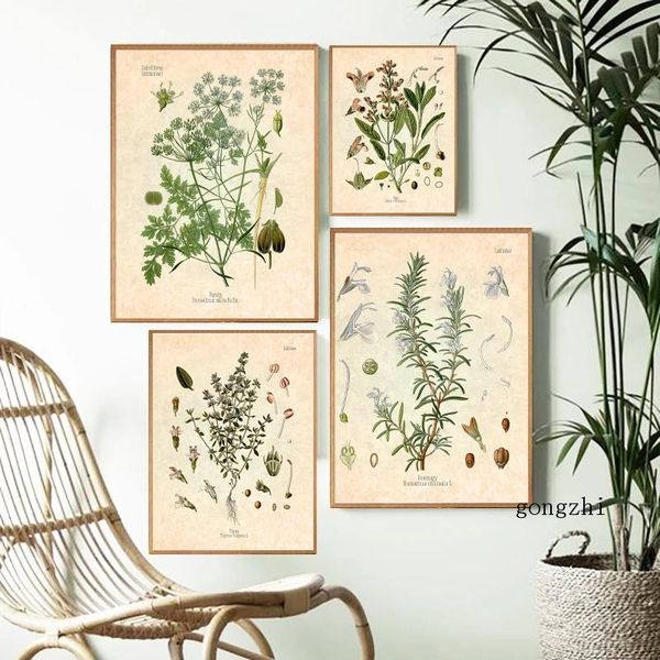 paintings green spices herbs botanical vintage poster rosemary thyme canvas painting and prints kitchen wall art pictures home decor
paintings green spices herbs botanical vintage poster rosemary thyme canvas painting and prints kitchen wall art pictures home decor