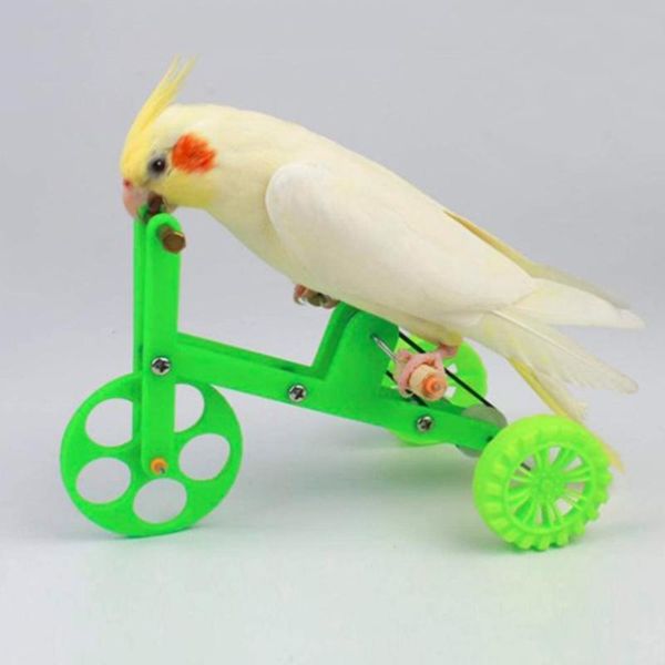 other bird supplies funny parrot bike toy birds training plaything educational interactive props for parakeet cockatiel conure lovebird
other bird supplies funny parrot bike toy birds training plaything educational interactive props for parakeet cockatiel conure lovebird