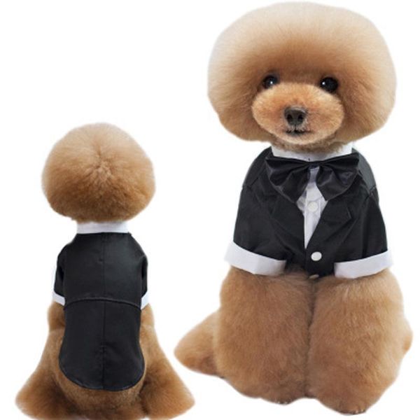 dog apparel pet clothes clothing wedding suit dress gentleman outfit teddy bichon legs
dog apparel pet clothes clothing wedding suit dress gentleman outfit teddy bichon legs
