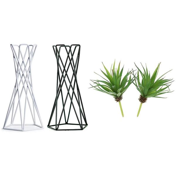 simulation artificial succulent greenhouse plants are green with holder flower pots stand geometric air plant decorative flowers & wreaths
simulation artificial succulent greenhouse plants are green with holder flower pots stand geometric air plant decorative flowers & wreaths