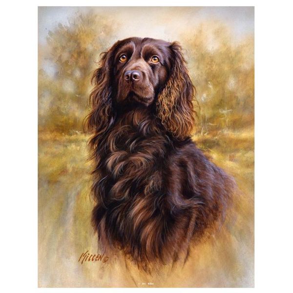 diamond painting unfinished diy boykin spaniel cute pet 5d embroidery dog mosaic full round square drill wall decor gift
diamond painting unfinished diy boykin spaniel cute pet 5d embroidery dog mosaic full round square drill wall decor gift