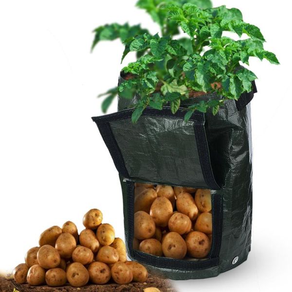 planters & pots potato planting bags outdoor cultivation vertical garden pot hanging open style vegetable planter grow bag home supplies
planters & pots potato planting bags outdoor cultivation vertical garden pot hanging open style vegetable planter grow bag home supplies