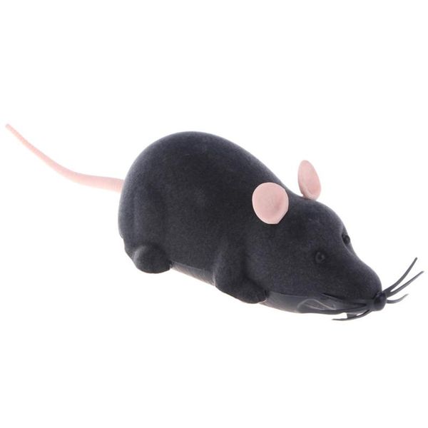 cat toys plush mouse mechanical motion rat wireless remote electronic kitten novelty funny pet supplies pets gift
cat toys plush mouse mechanical motion rat wireless remote electronic kitten novelty funny pet supplies pets gift