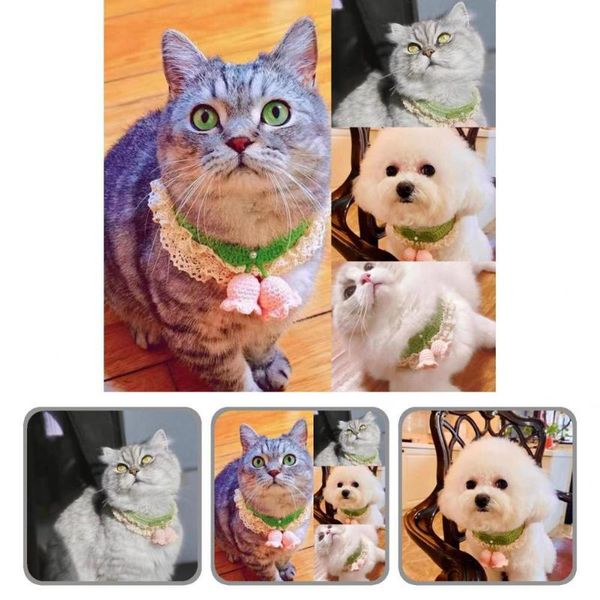 dog collars & leashes dress up accessories cute pet cat decorative collar knitting puppy lovely for taking po
dog collars & leashes dress up accessories cute pet cat decorative collar knitting puppy lovely for taking po