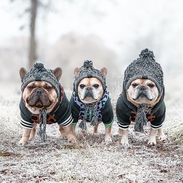 dog apparel small hat winter pet cap christmas warm windproof hats woolen accessories for medium dogs
dog apparel small hat winter pet cap christmas warm windproof hats woolen accessories for medium dogs