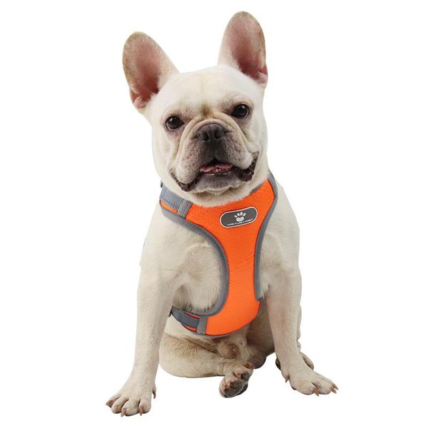 dog collars & leashes harness breathable mesh leash vest outdoor reflective strap pet supply for chihuahua, puppy, large dogs s-xl
dog collars & leashes harness breathable mesh leash vest outdoor reflective strap pet supply for chihuahua, puppy, large dogs s-xl