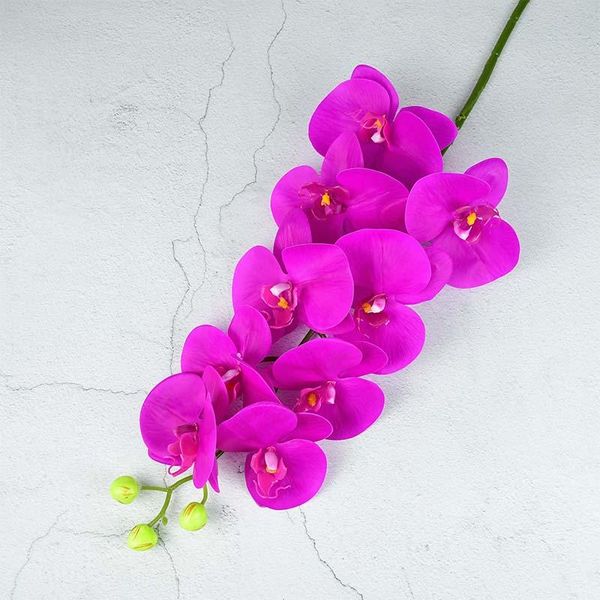 decorative flowers & wreaths 100cm butterfly orchid branch pink white pu phalaenopsis artificial wedding centerpieces for home living room d
decorative flowers & wreaths 100cm butterfly orchid branch pink white pu phalaenopsis artificial wedding centerpieces for home living room d