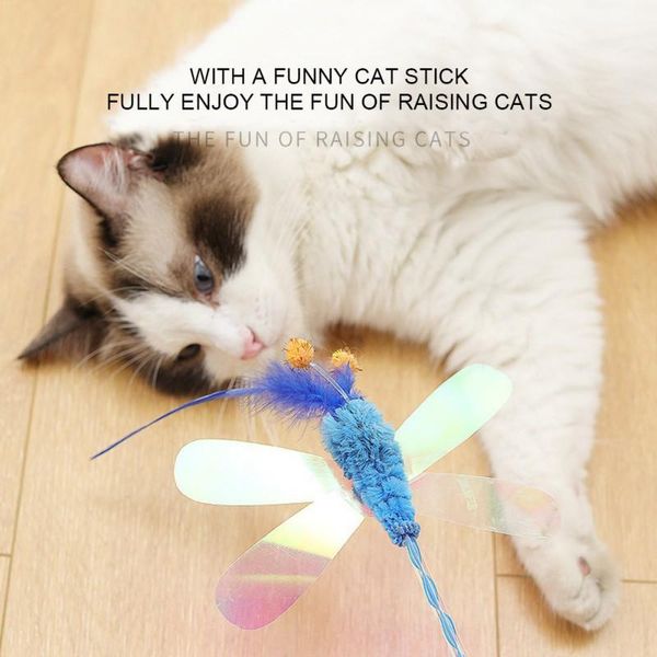 cat toys pet dog sequin feather funny cute kitten interactive stick fairy puzzle cats toy four ball prop
cat toys pet dog sequin feather funny cute kitten interactive stick fairy puzzle cats toy four ball prop