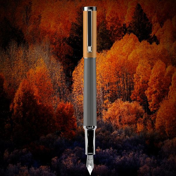 fountain pens elegant office supplies metal pen school for writing luxury china stationery durable kawaii ink
fountain pens elegant office supplies metal pen school for writing luxury china stationery durable kawaii ink