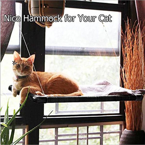 kg cute cat hanging bed on glass wall comfortable door hammock mat bearing pet sunny window mount seat beds & furniture
kg cute cat hanging bed on glass wall comfortable door hammock mat bearing pet sunny window mount seat beds & furniture