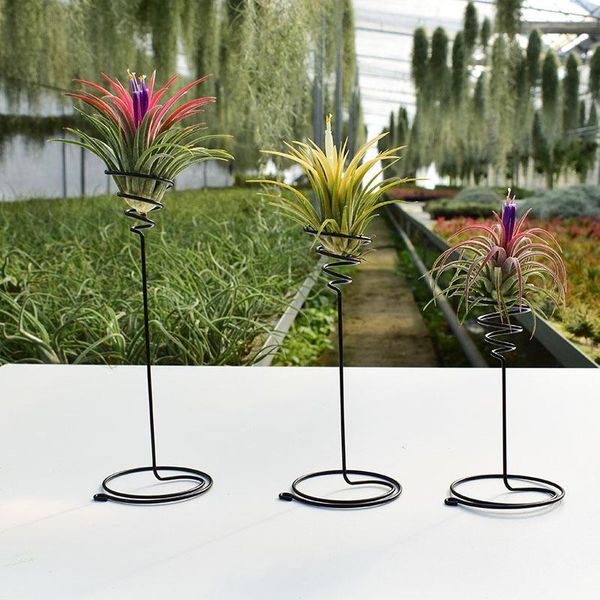 planters & pots creative black iron air pineapple base plant flower pot rack holder home balcony garden decor supplies landscape accessories
planters & pots creative black iron air pineapple base plant flower pot rack holder home balcony garden decor supplies landscape accessories