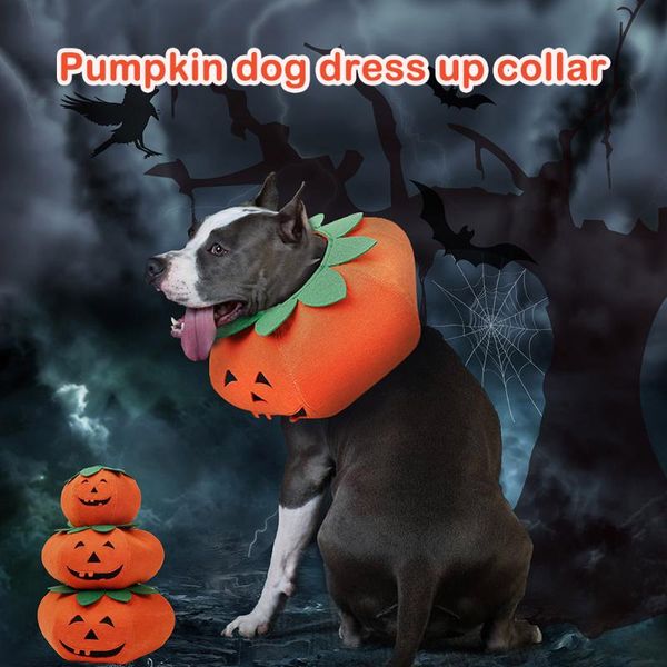 dog collars & leashes halloween collar adjustable pumpkin felt cloth pet accessories pr sale
dog collars & leashes halloween collar adjustable pumpkin felt cloth pet accessories pr sale