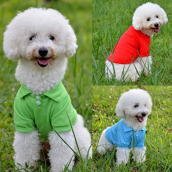 dog apparel pet clothing for clothes small dogs warm costume coat puppy outfit hoodies chihuahua
dog apparel pet clothing for clothes small dogs warm costume coat puppy outfit hoodies chihuahua